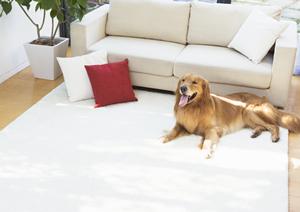 家を守るため自然災害に備えよう耐震改修