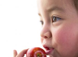 多くの実績がある愛知の内装工事業者