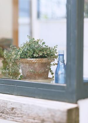 滋賀県で注文住宅を依頼するならこの会社